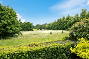 Views of Bracken Golf Course- click for photo gallery